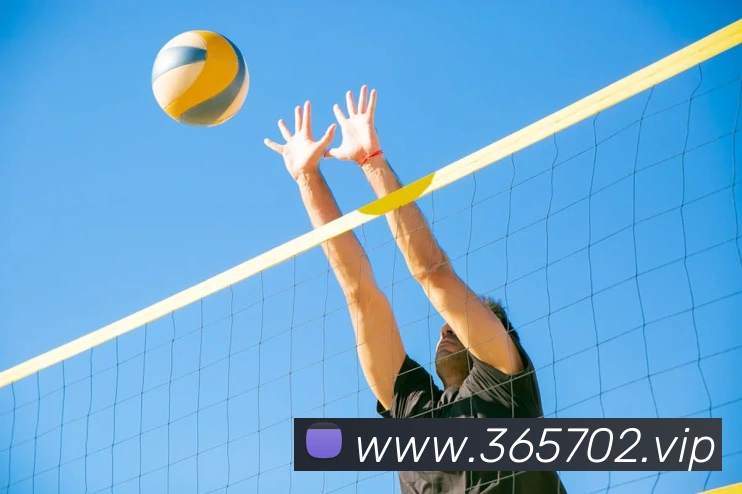 bet365官网品牌故事
